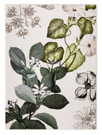 Kitchen Towels «Knighthia», 100% Made in Italy