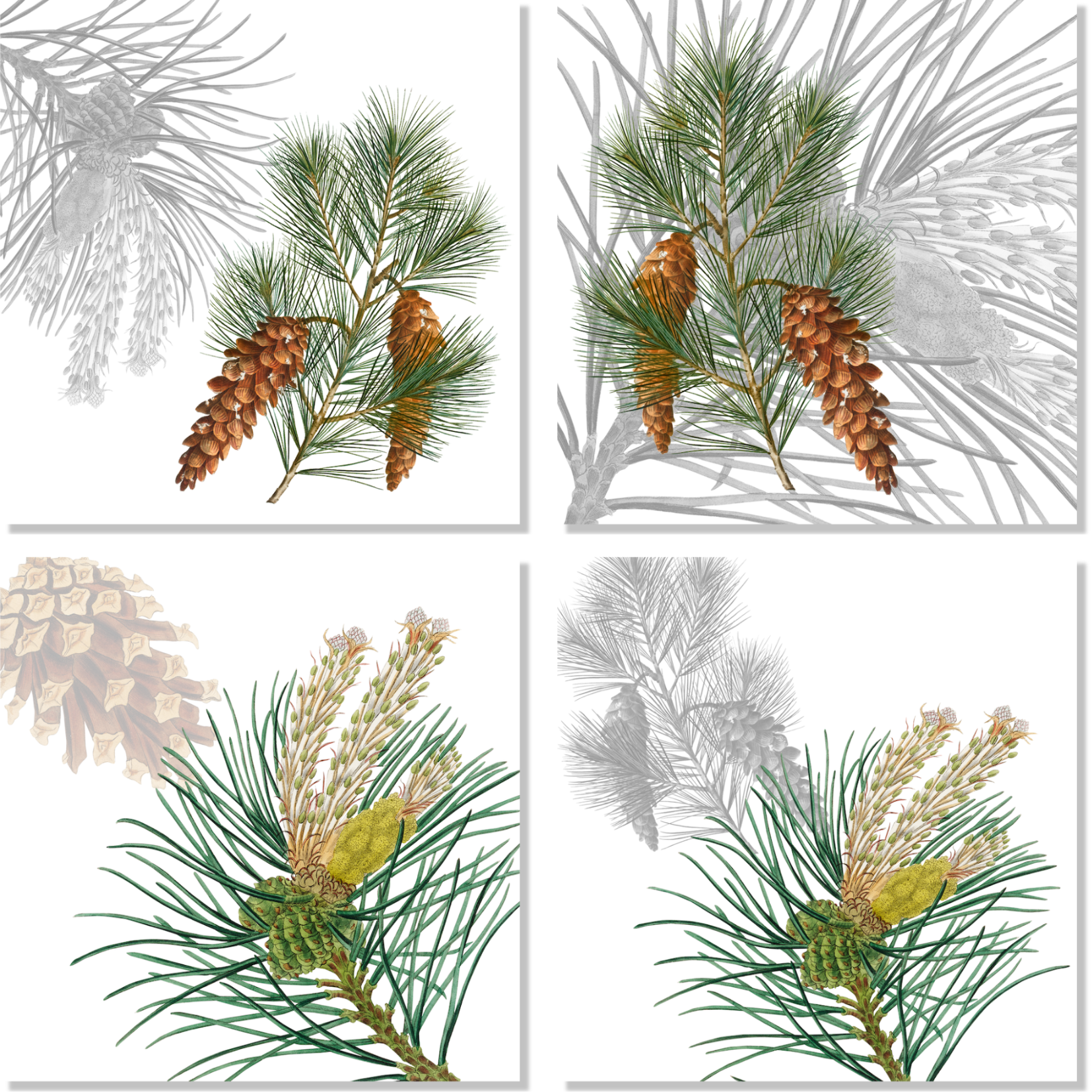 Set Of 4 Napkins Le Sapin 100% Made in Italy The Napking