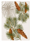 Kitchen Towels «Le Sapin», 100% Made in Italy