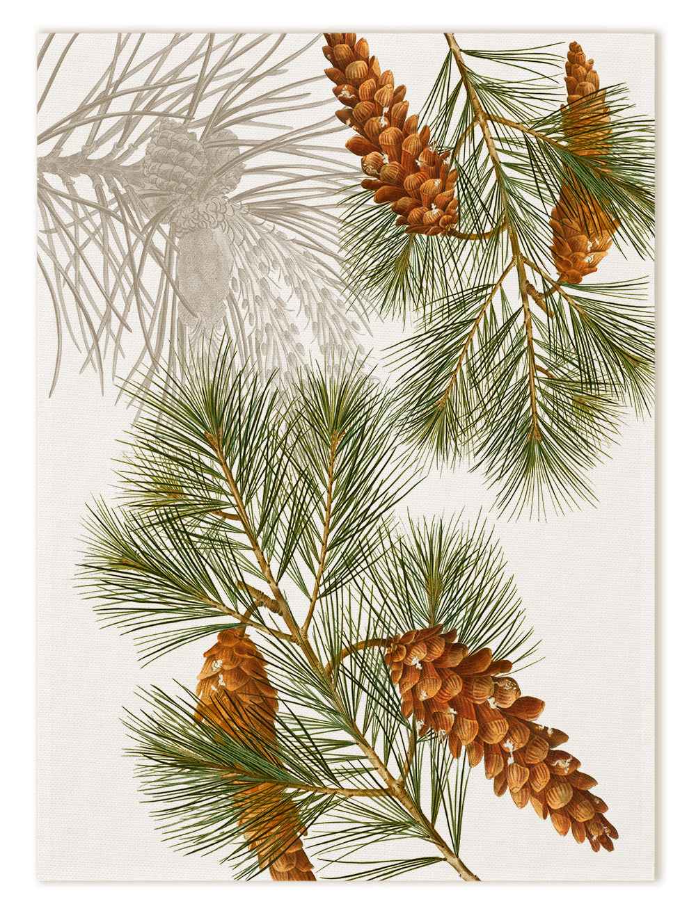 Kitchen Towels «Le Sapin», 100% Made in Italy