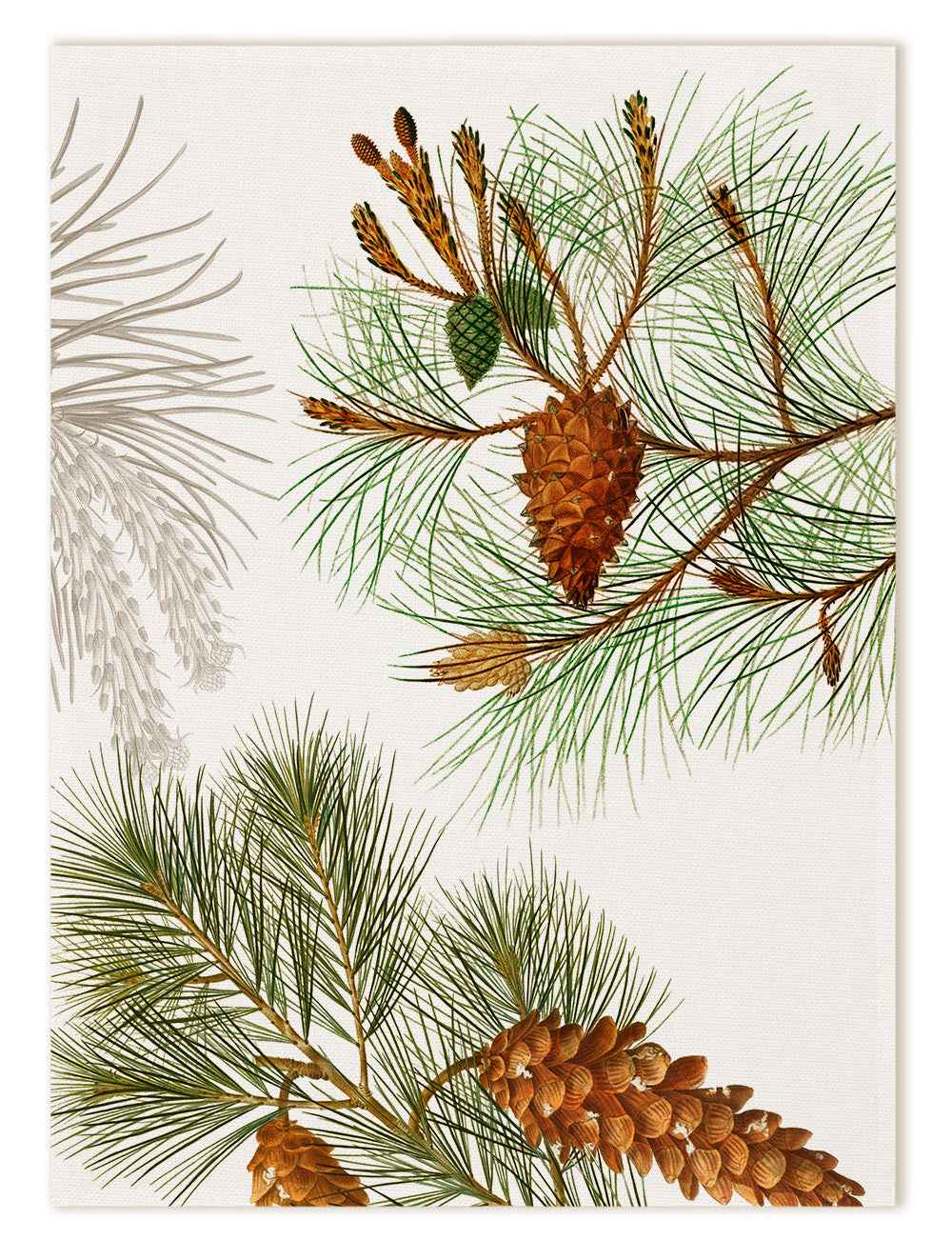 Kitchen Towels «Le Sapin», 100% Made in Italy