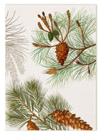 Kitchen Towels «Le Sapin», 100% Made in Italy