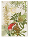 Loma Kitchen Towel Linen by The Napking