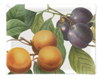 Tray «Fruit Love»,  100% Made in Italy