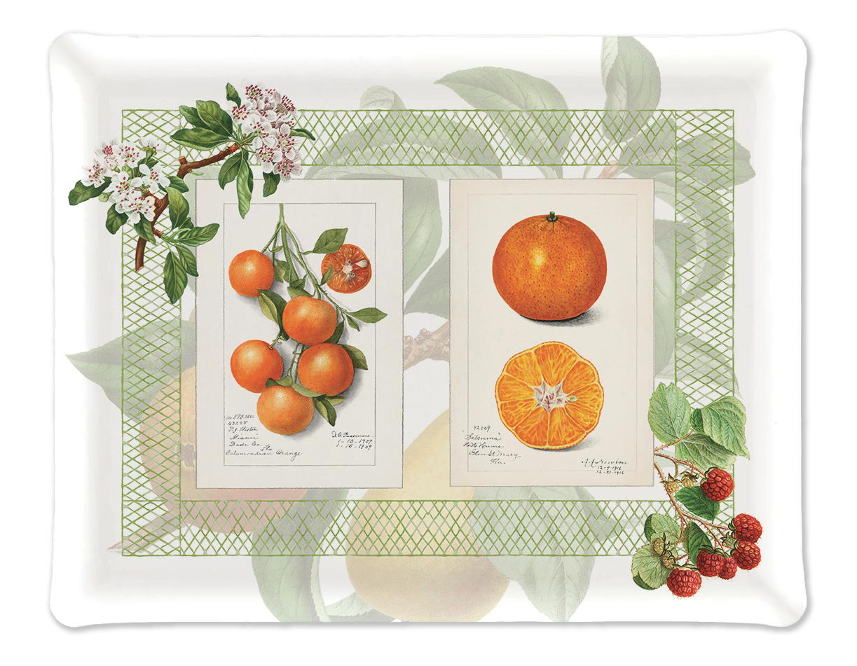 Vassoio «Summer Fruit», 100% Made in Italy