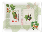 Tray «Summer Fruit»