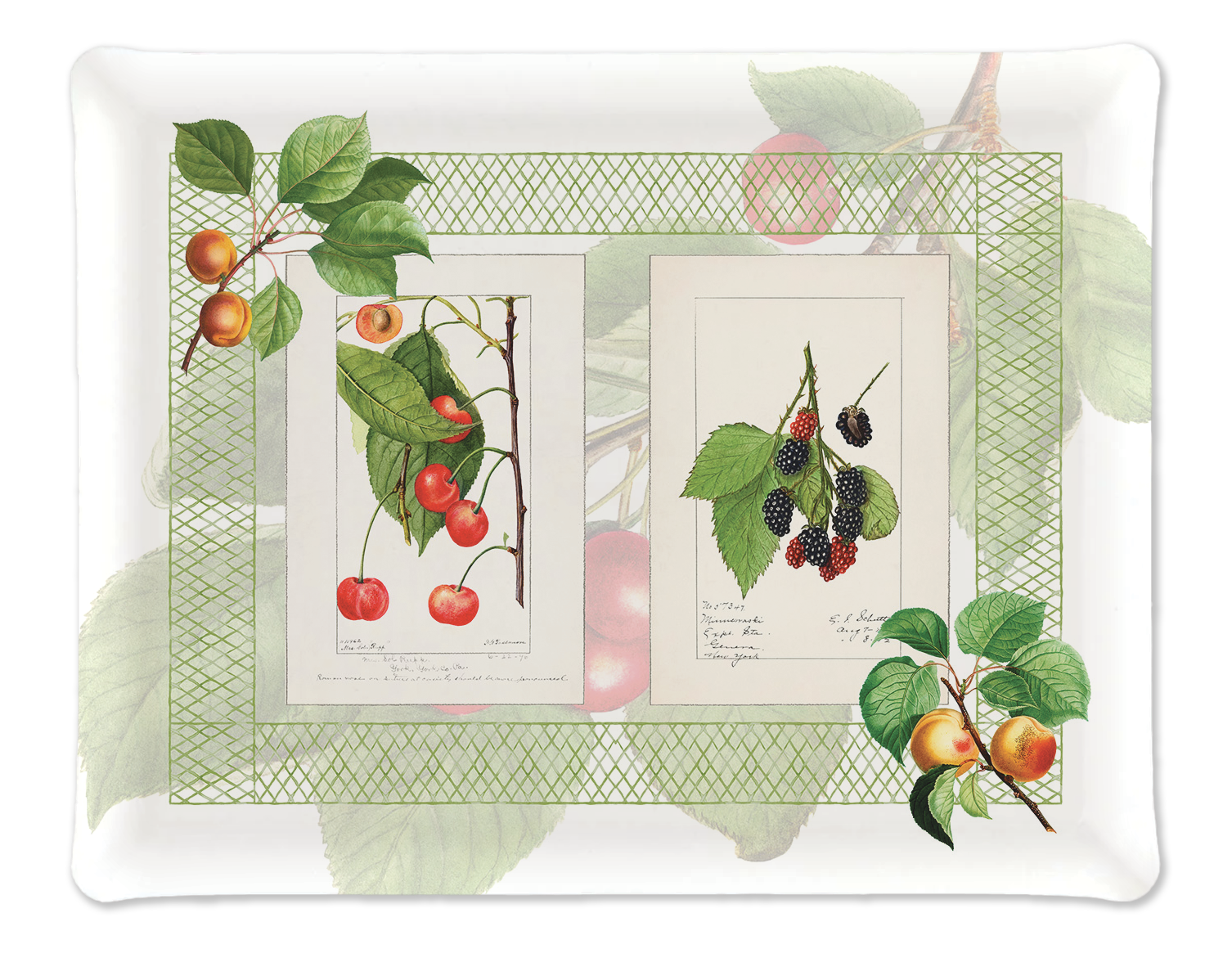 Vassoio «Summer Fruit», 100% Made in Italy