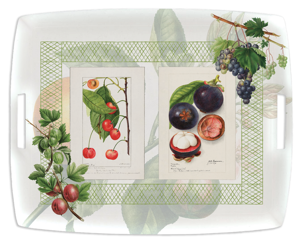 Tray «Summer Fruit», 100% Made in Italy - The Napking