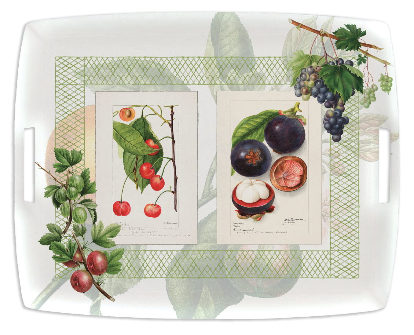 Tray «Summer Fruit», 100% Made in Italy - The Napking