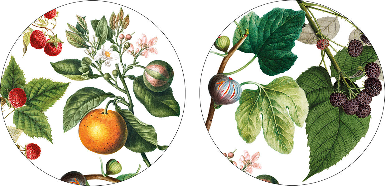 Set of 2 coasters Montedoro wood cork