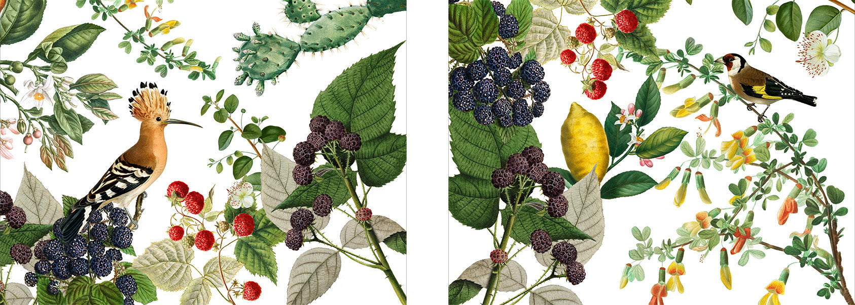 Set of 2 rectangular hardboard placemats Montedoro