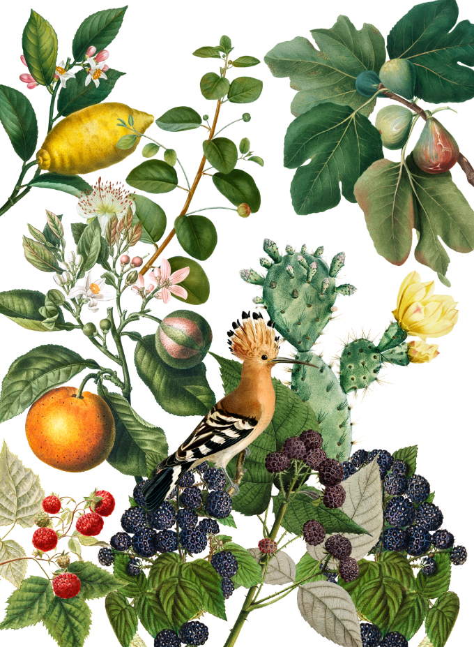 Kitchen Towels Montedoro 100% Made in Italy