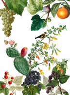 Asciugapiatti Montedoro 100% Made in Italy