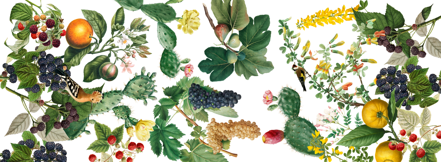 Pure Linen Runner Montedoro 100% Made in Italy