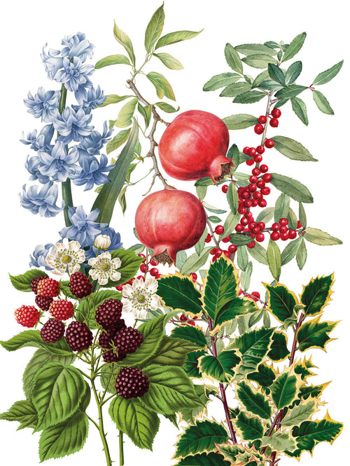 Kitchen Towels «Natalia», 100% Made in Italy The Napking