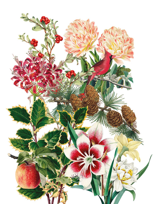 Kitchen Towels «Natalia», 100% Made in Italy The Napking