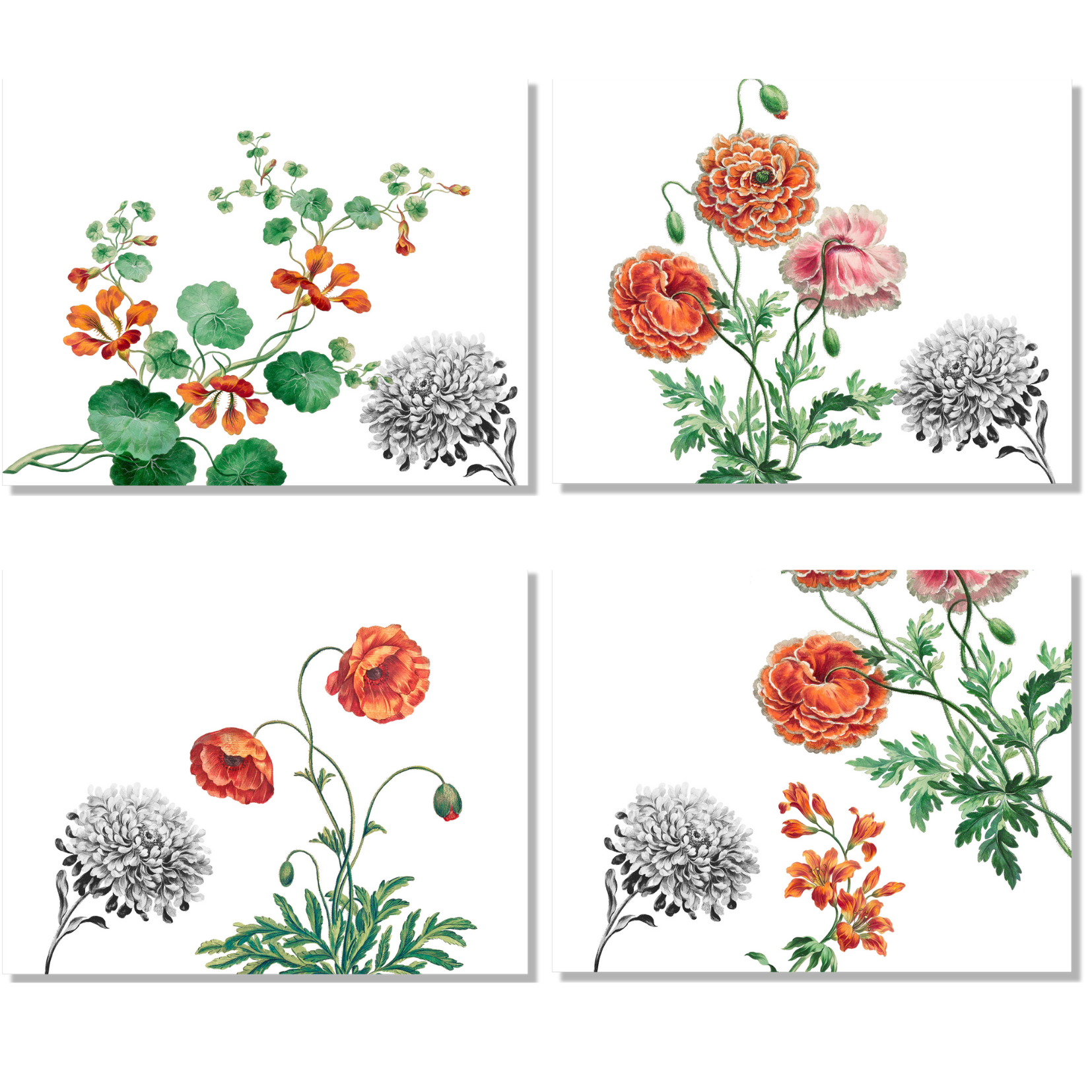 Set of 4 Placemats «Edward» 100% Made in Italy