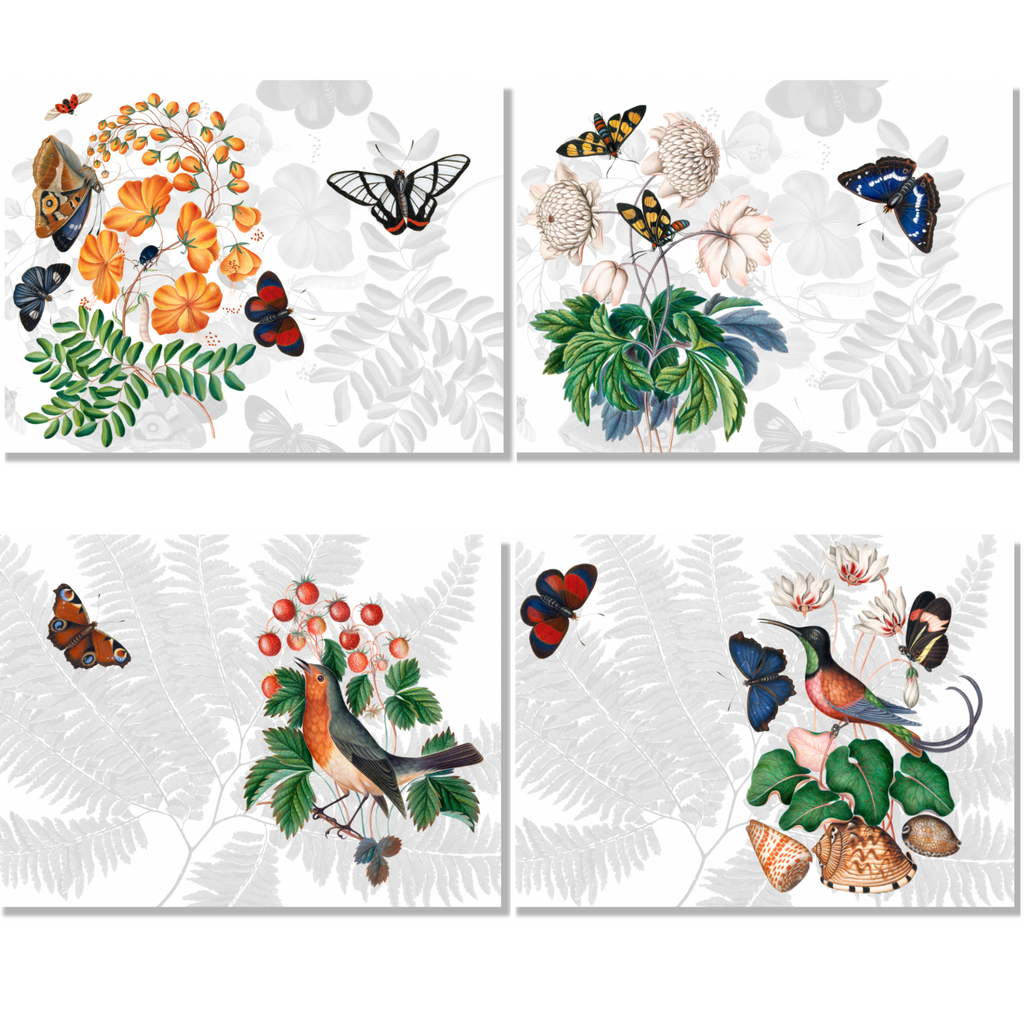 Set of 4 Placemats «Felci» Cotton Satin 100% Made in Italy