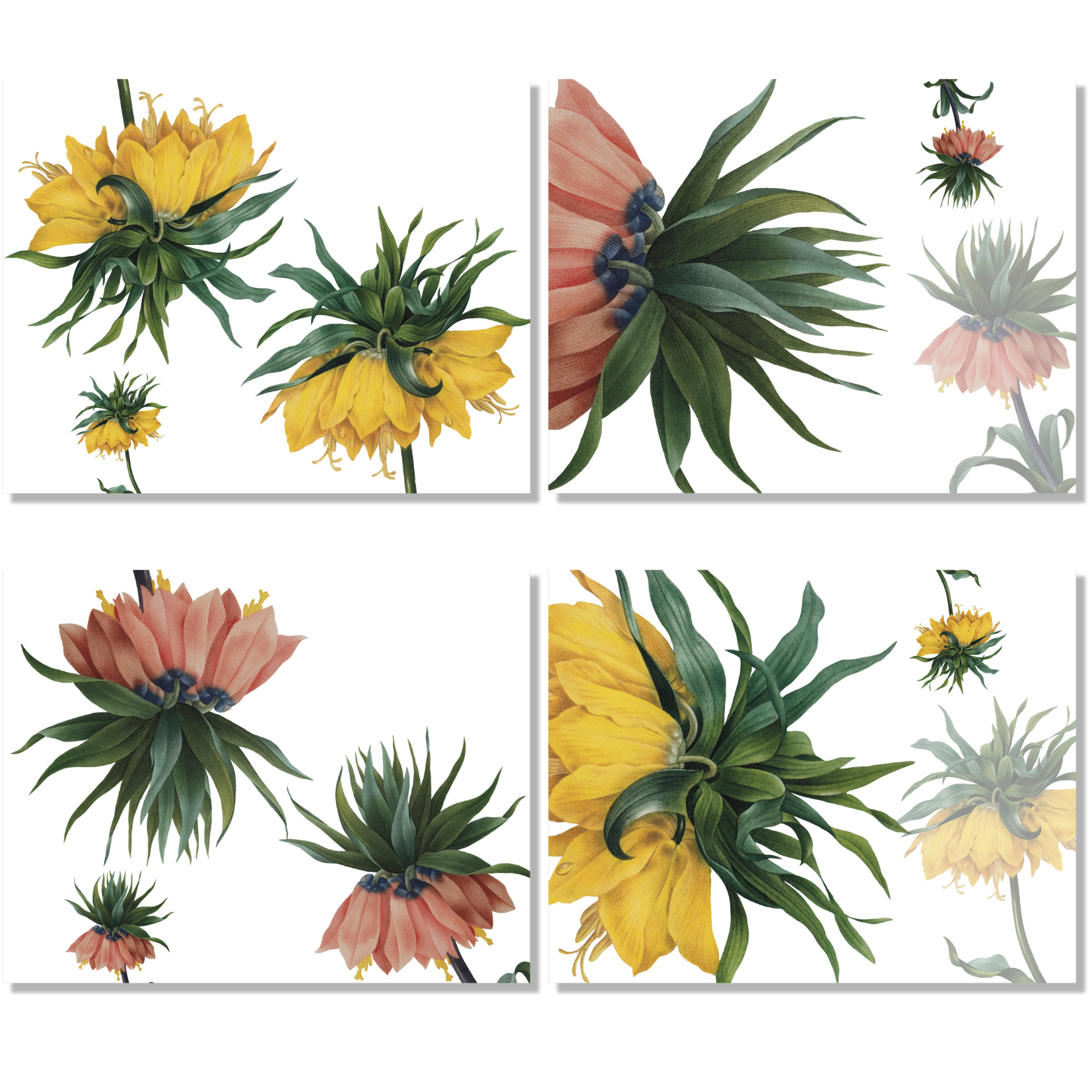 Set of 4 Placemats Fritillaria