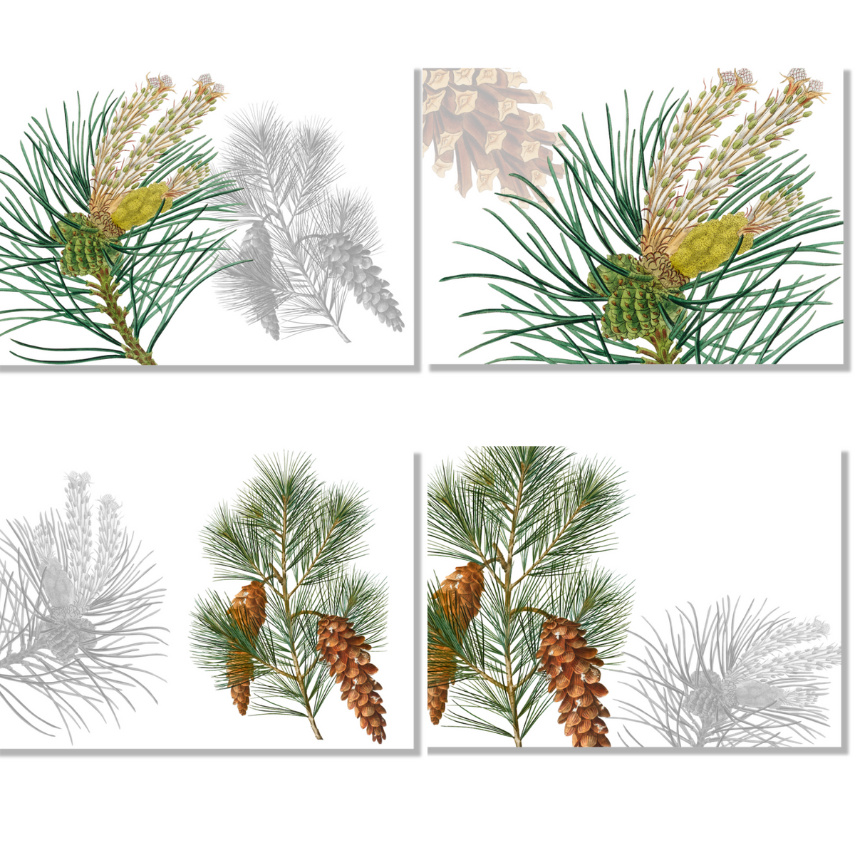 Set of 4 Placemats «Le Sapin» Linen 100% Made in Italy