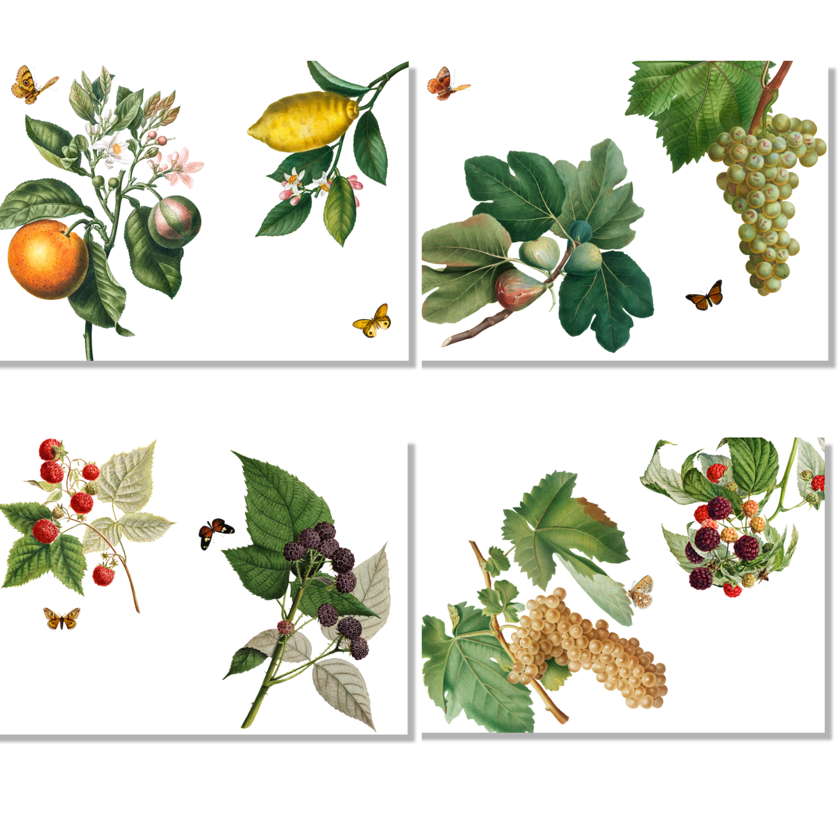 Set of 4 Placemats «Montedoro» Linen 100% Made in Italy