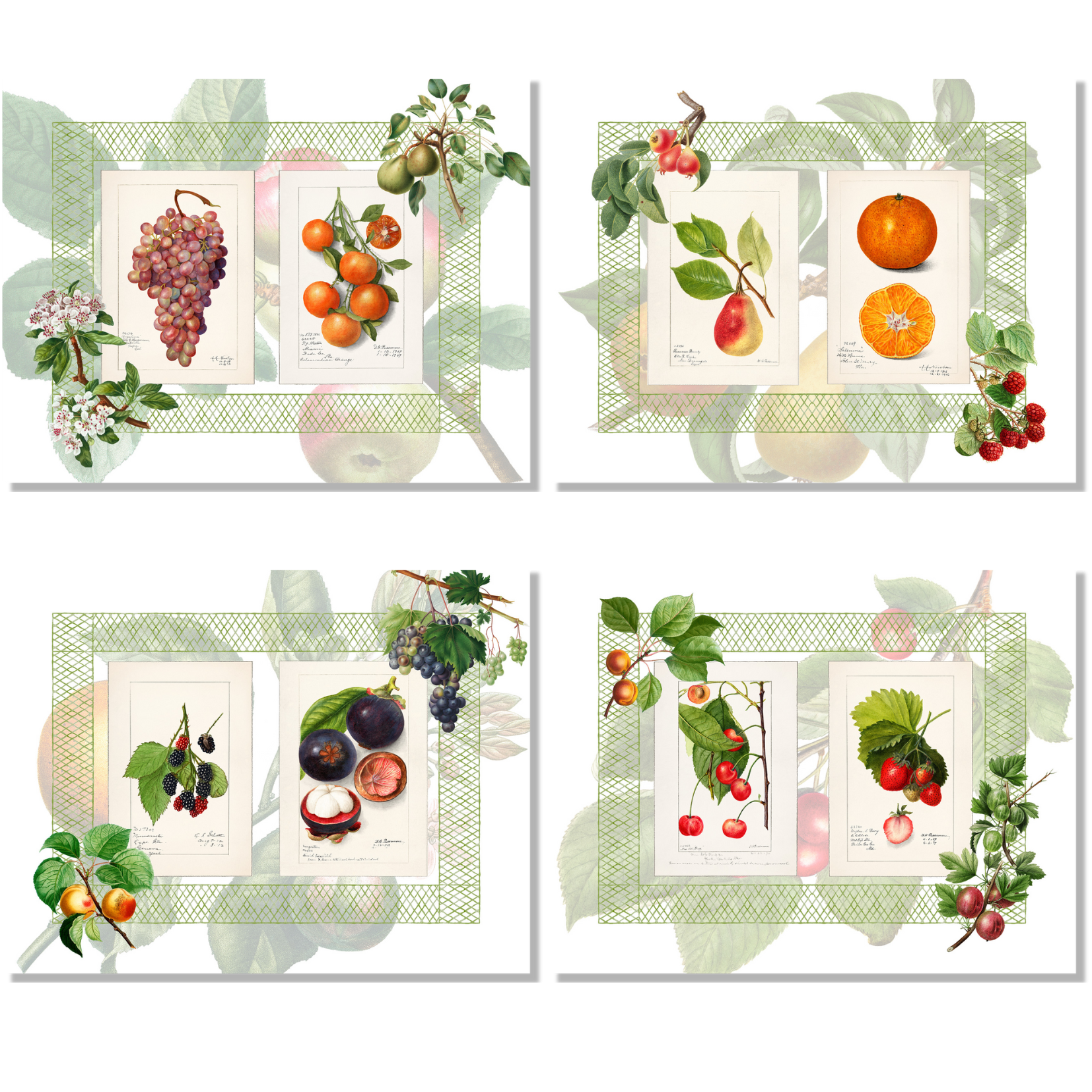 Set of 4 Placemats «Summer Fruit» Linen 100% Made in Italy The Napking