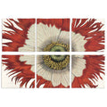 Set of 6 Napkins Papaver 100% Made in Italy