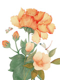 Kitchen Towels «Peony», 100% Made in Italy