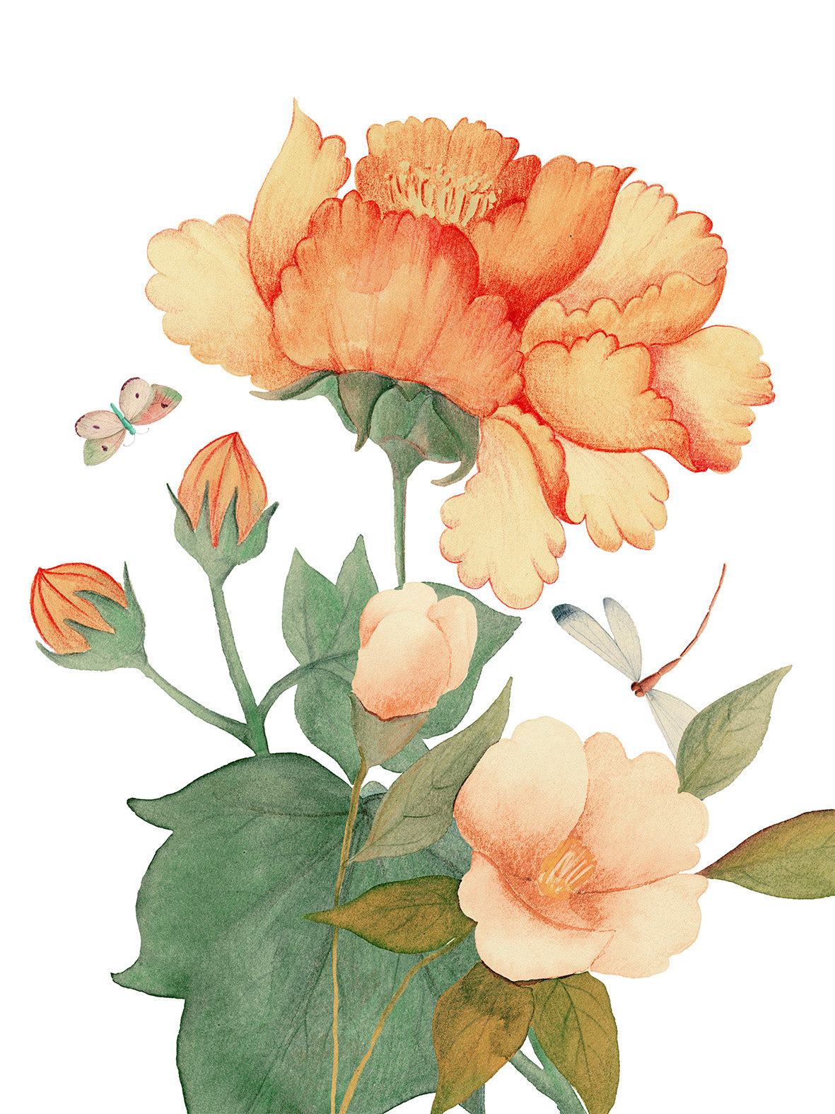 Kitchen Towels «Peony», 100% Made in Italy