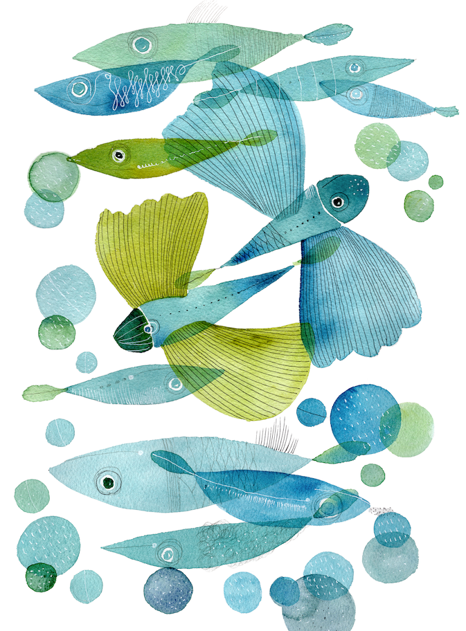 Kitchen Towels «Pesci Volanti», 100% Made in Italy