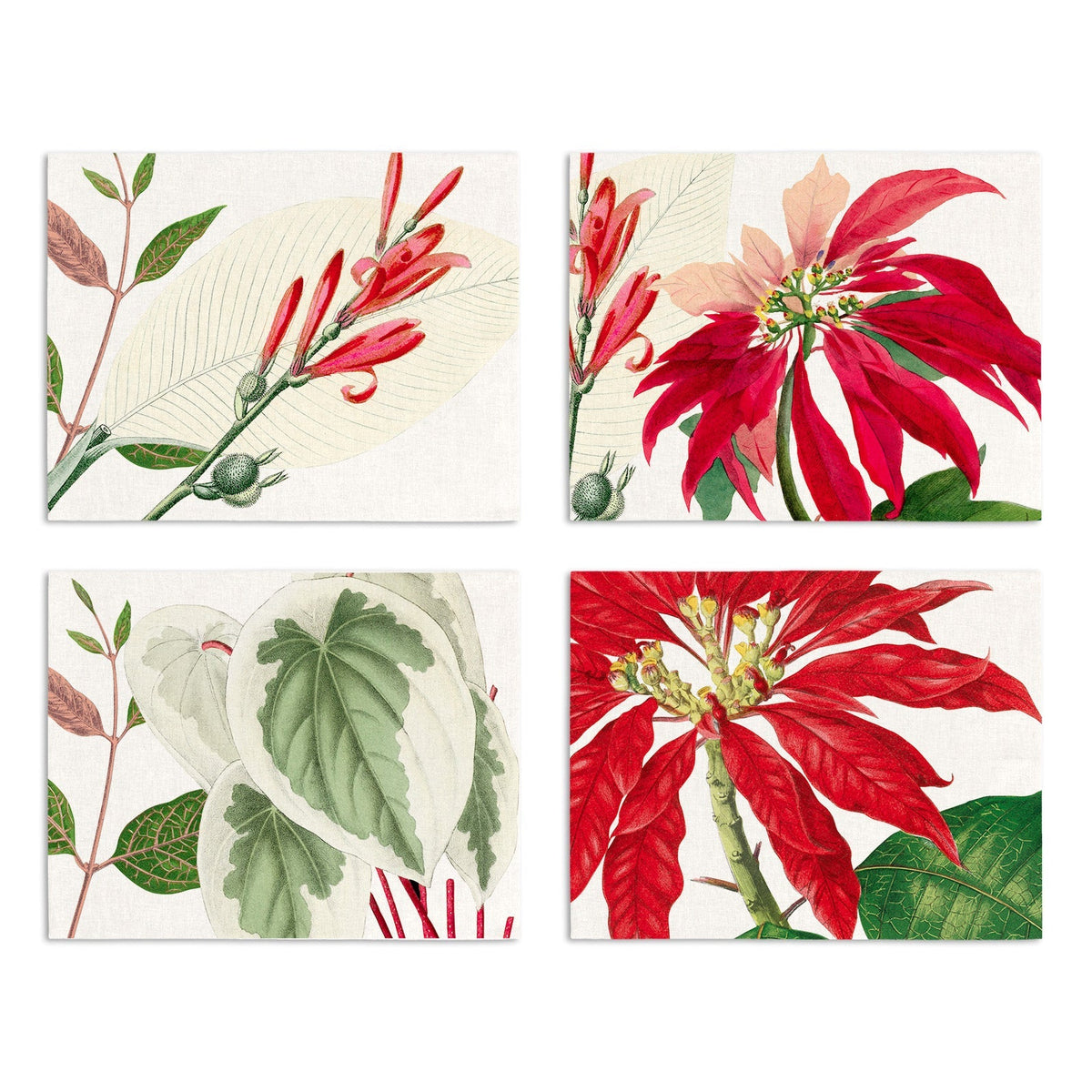 Set of 4 Placemats «Poinsetta» Linen 100% Made in Italy
