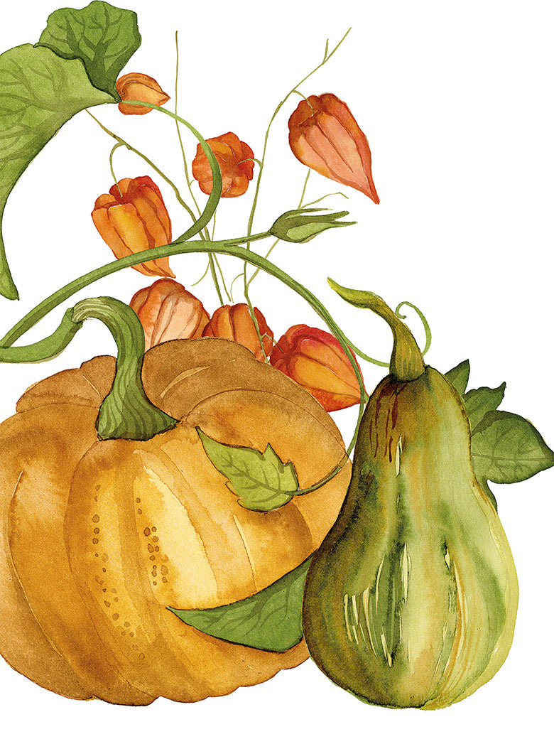 Kitchen Towels Potirons 100% Made in Italy The Napking