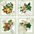 Set Of 4 Napkins «Summer Fruit» 100% Made in Italy - The Napking