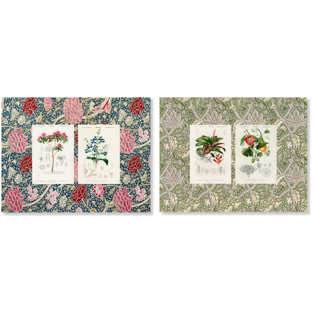Set of 2 Placemats Set in Panama Cotton Botanique