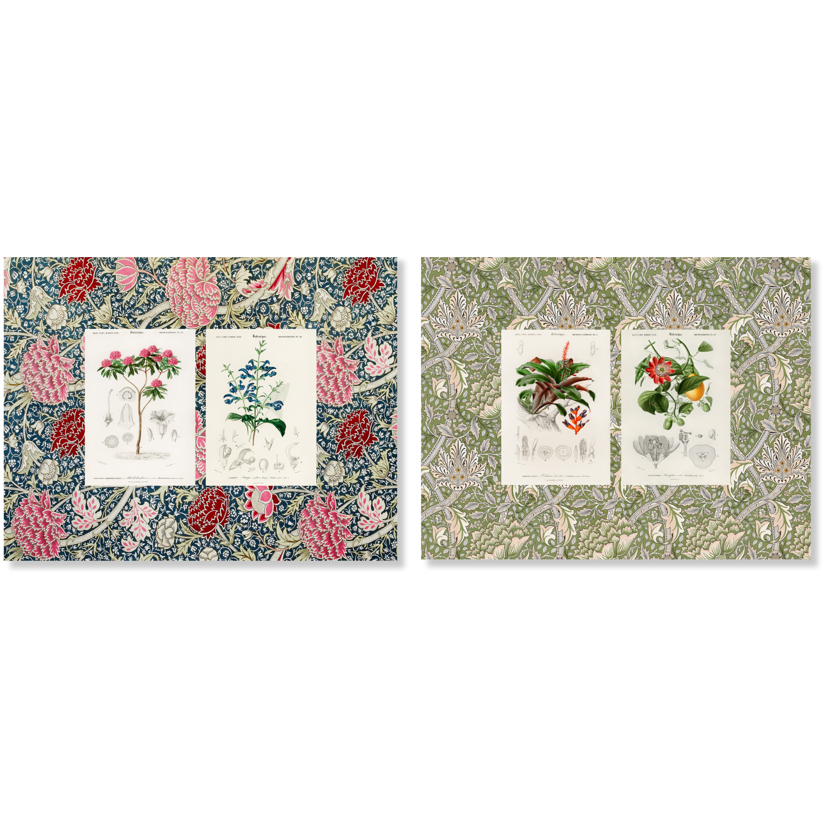 Set of 2 Placemats Set in Panama Cotton Botanique