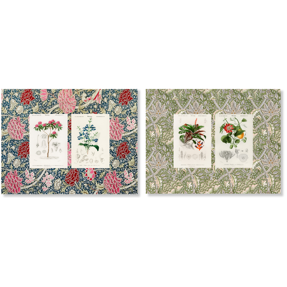 Lot de 2 sets de table en coton Panama Botanique