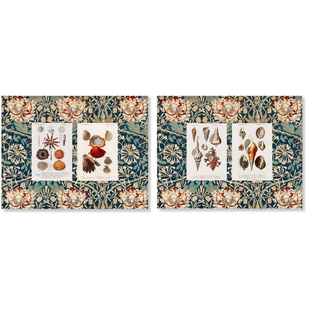 Set of 2 Placemats Set in Panama Cotton Darwin
