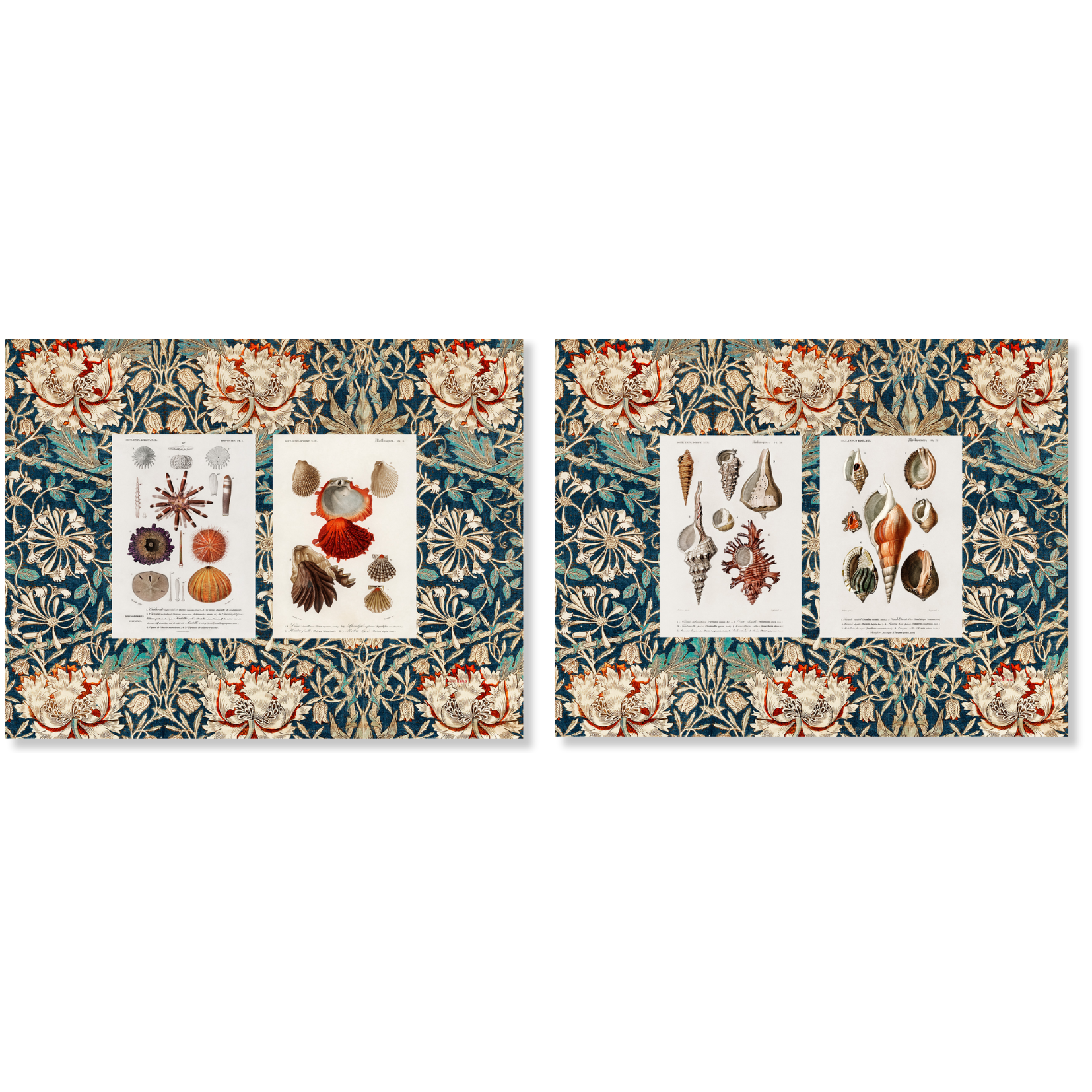 Set of 2 Placemats Set in Panama Cotton Darwin