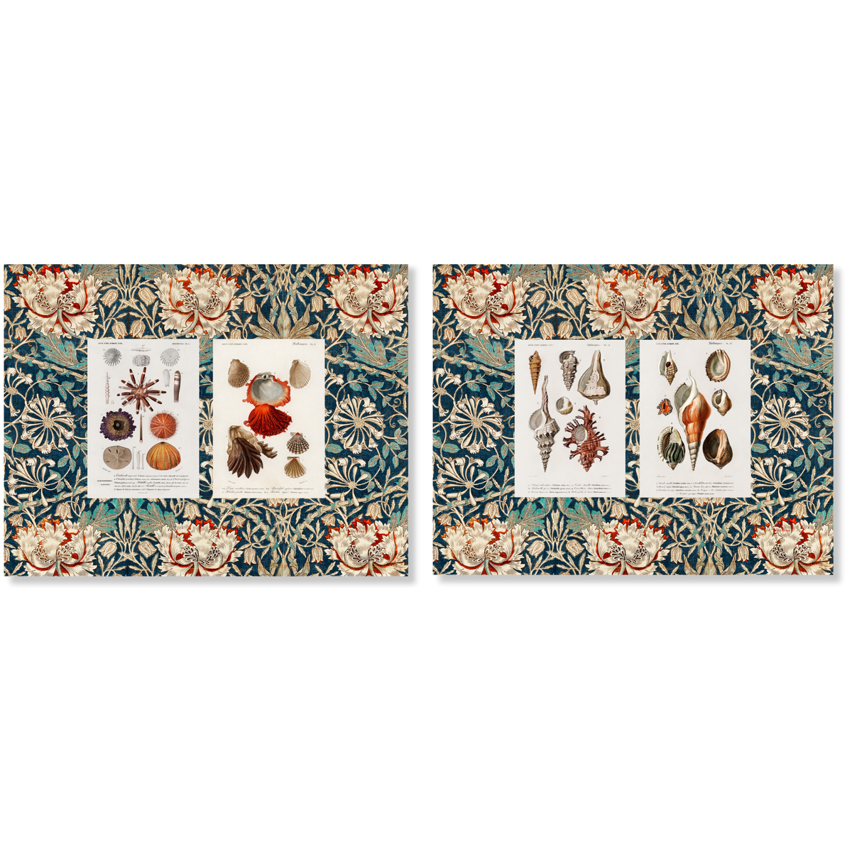 Lot de 2 sets de table en coton Panama Darwin