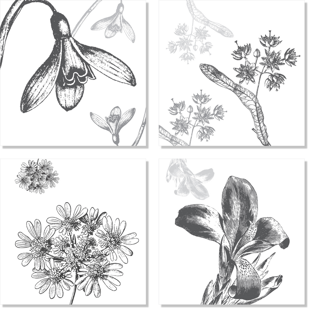 Set of 4 Napkins «Stentor» 100% Made in Italy