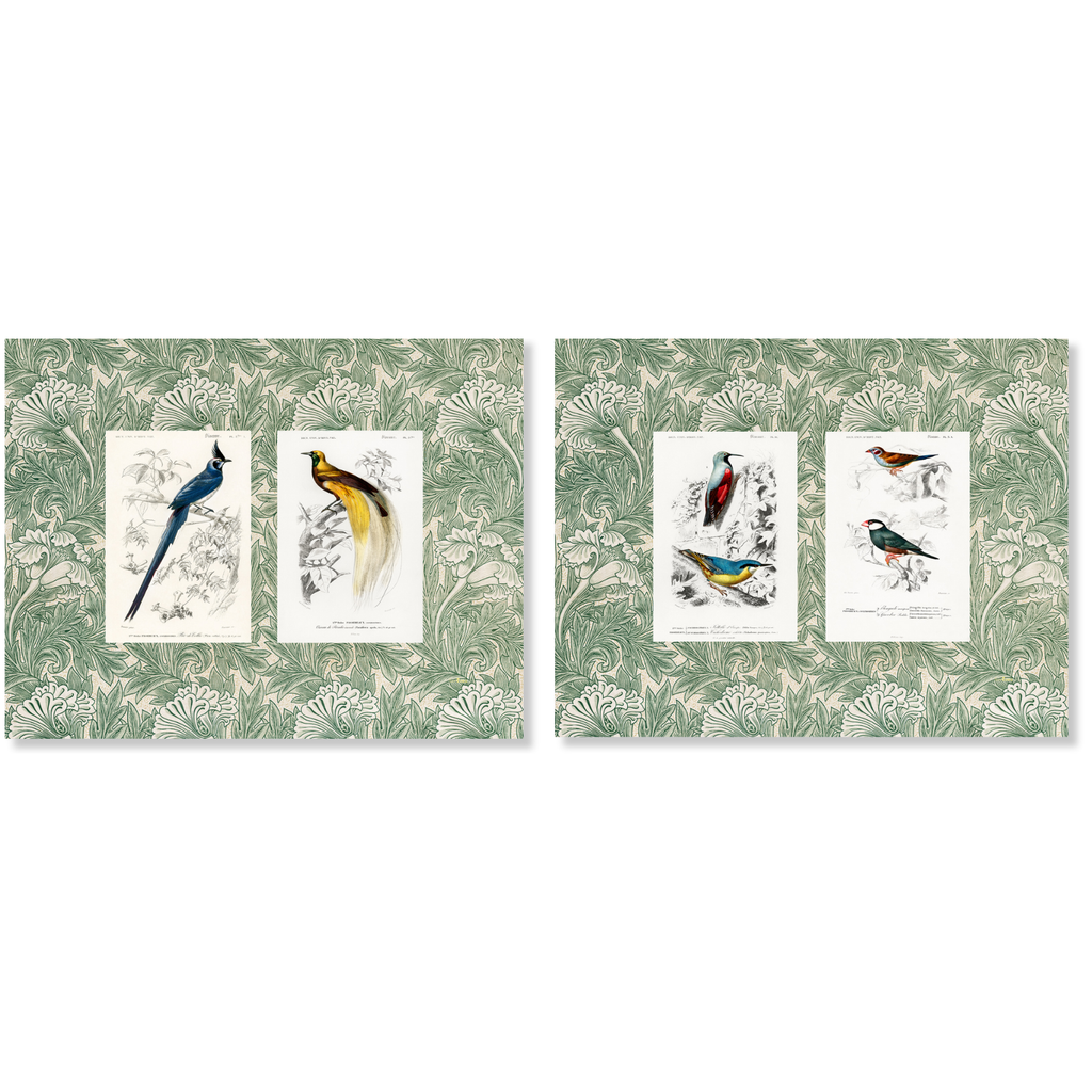 Set of 2 Placemats Set in Panama Cotton Cuvier