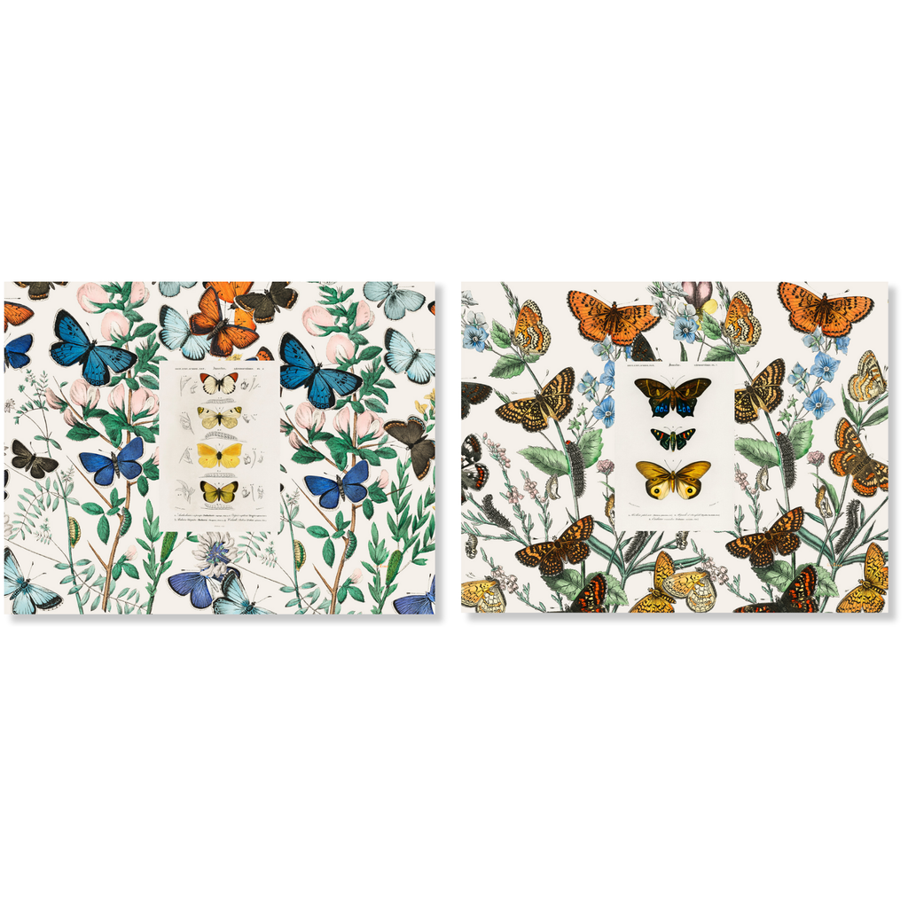 Set of 2 Placemats Set in Panama Cotton Mariposa