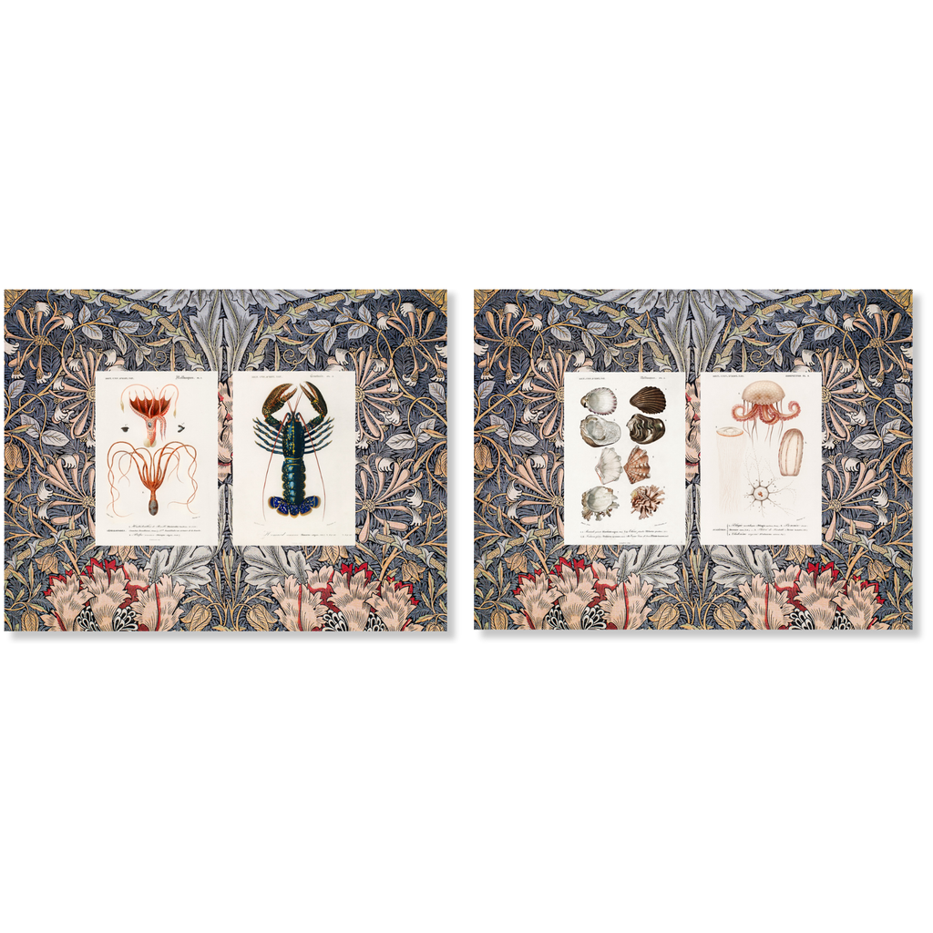 Set of 2 Placemats Set in Panama Cotton Haeckel