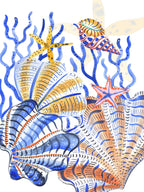 Kitchen Towels Shell Bay 100% Made in Italy
