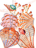 Kitchen Towels Shell Bay 100% Made in Italy