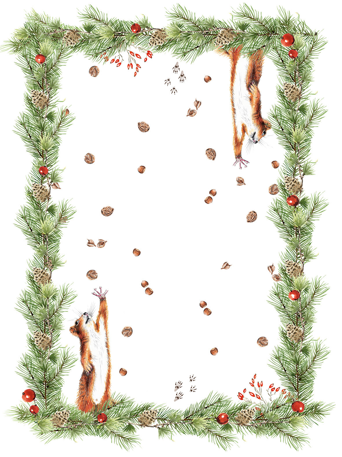 Kitchen Towels «The Squirrel», 100% Made in Italy - The Napking