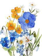 Kitchen Towels «Alpi Flora», 100% Made in Italy - The Napking
