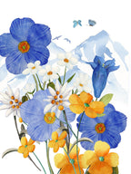 Kitchen Towels «Alpi Flora», 100% Made in Italy - The Napking