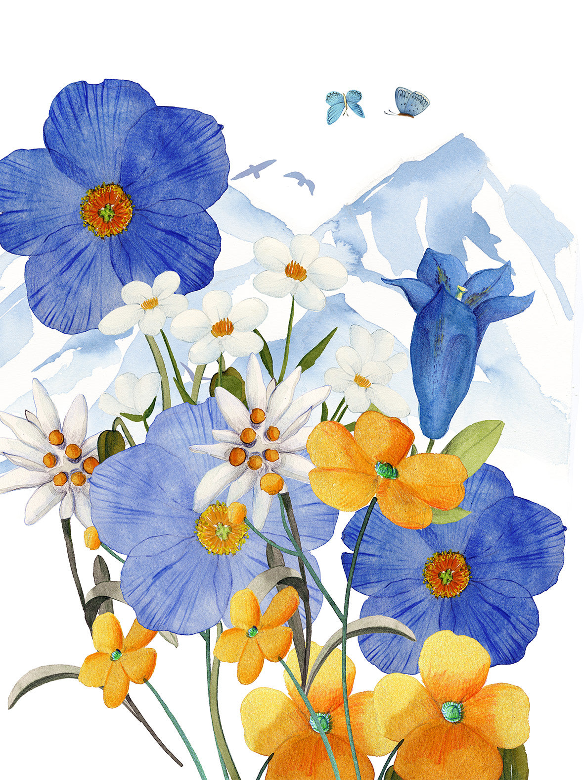 Kitchen Towels «Alpi Flora», 100% Made in Italy - The Napking