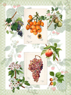 Kitchen Towels «Summer Fruit», 100% Made in Italy - The Napking